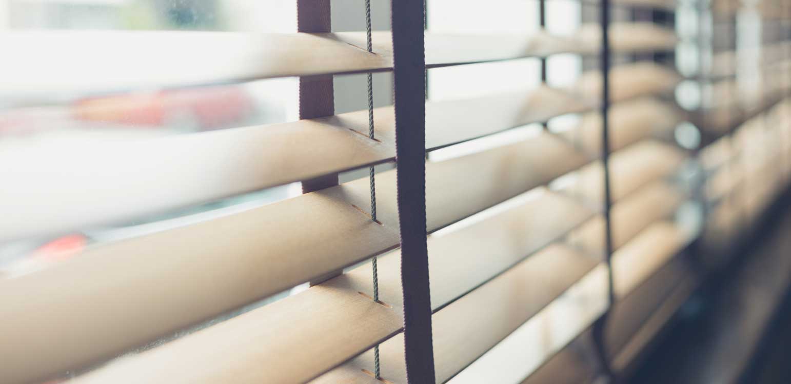 AF Fliegengitter in Wien